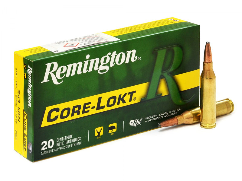 .243 Winchester Remington Core-Lokt 100gr/6,48g Pointed SP