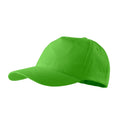 5P 307 Čiapka unisex — green apple