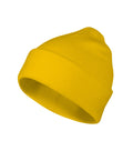 Beanie 315 Čiapka unisex — žltá