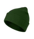 Beanie 315 Čiapka unisex — fľaškovozelená
