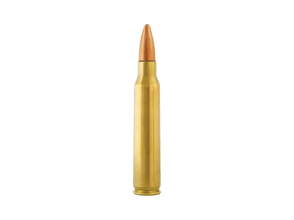 Aguila .223Rem. 55gr/3,56g FMJ (1E223110)