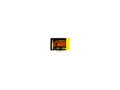 Brenneke 8x68S TOG 14,2g