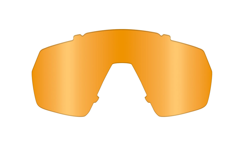 Wiley X WX CITADEL — Light Rust Lens