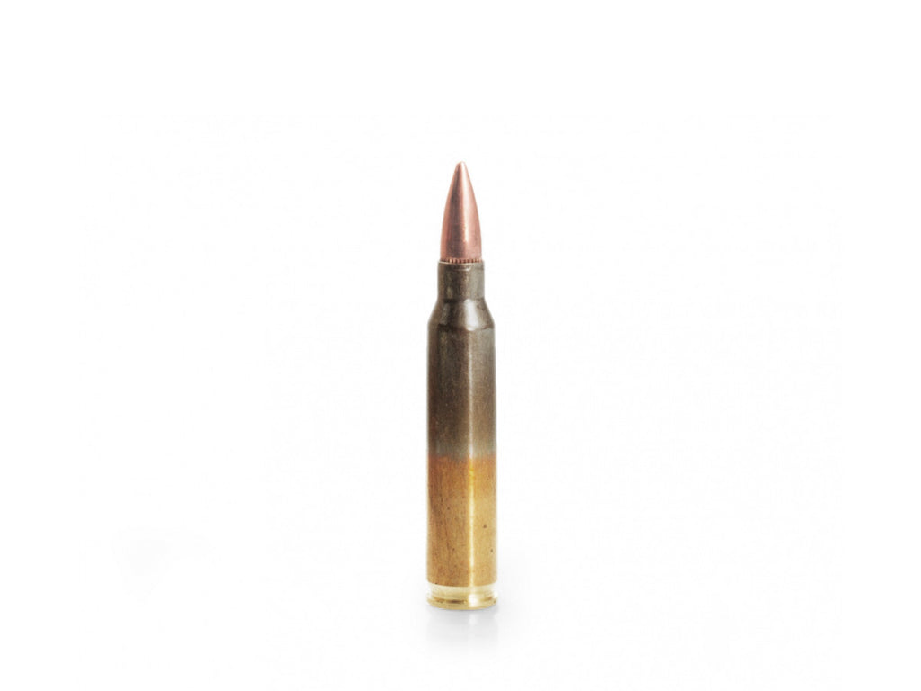 GGG .223Rem. 55gr/3,56g FMJ (GPR11)