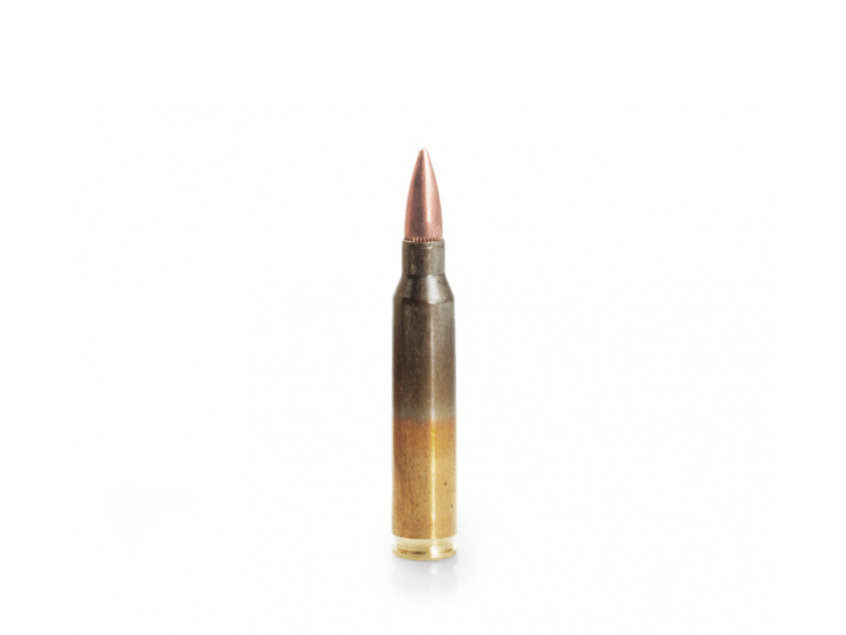 GGG .223Rem. 55gr/3,56g FMJ (GPR11)