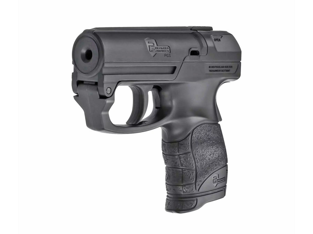 P2P PGS Personal Guard System