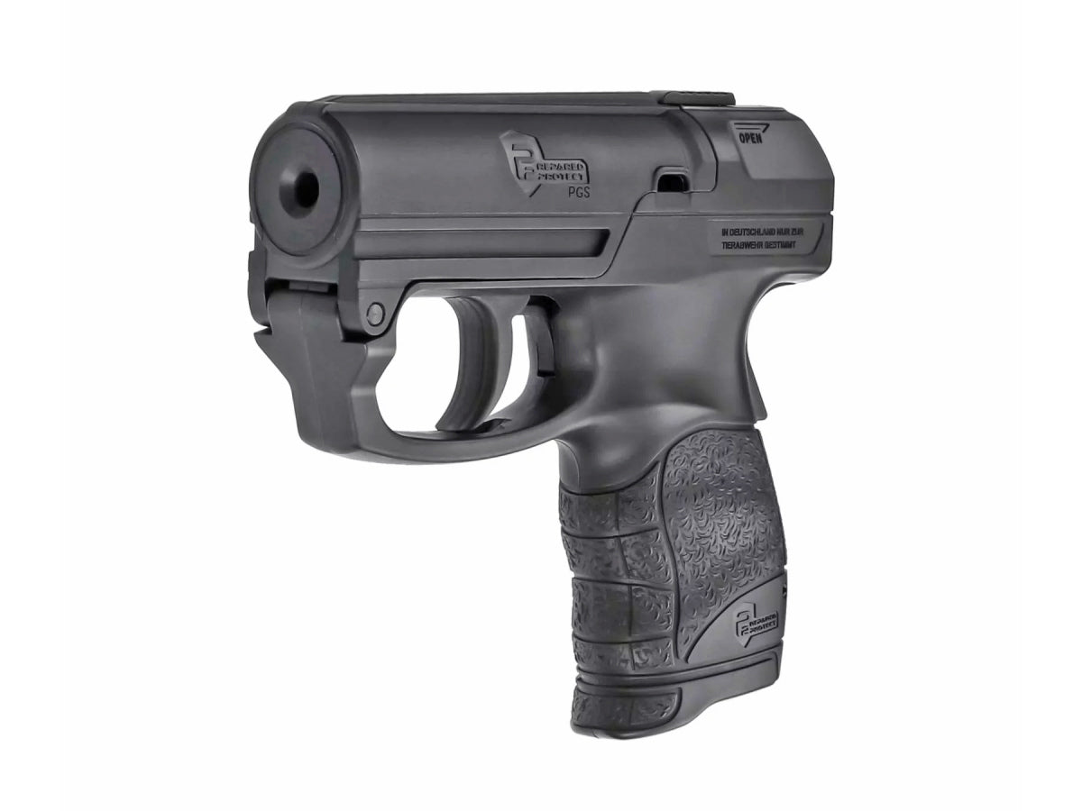 P2P PGS Personal Guard System