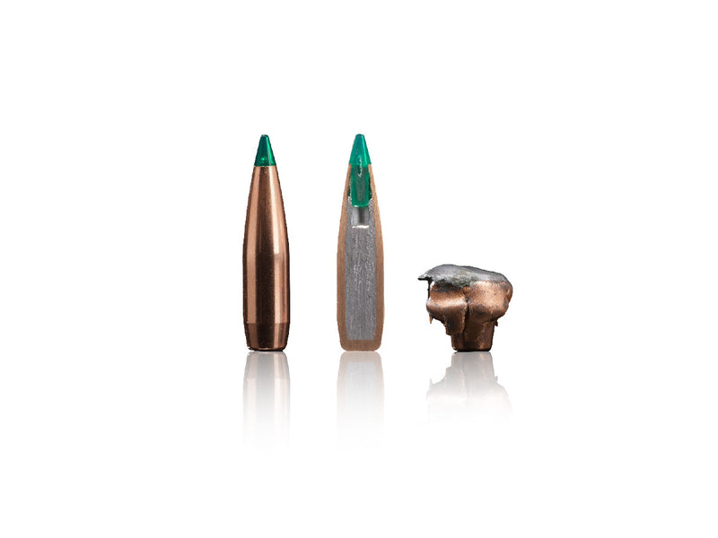 Sako .30-06 Springfield 10,7g TSP Gamehead Pro